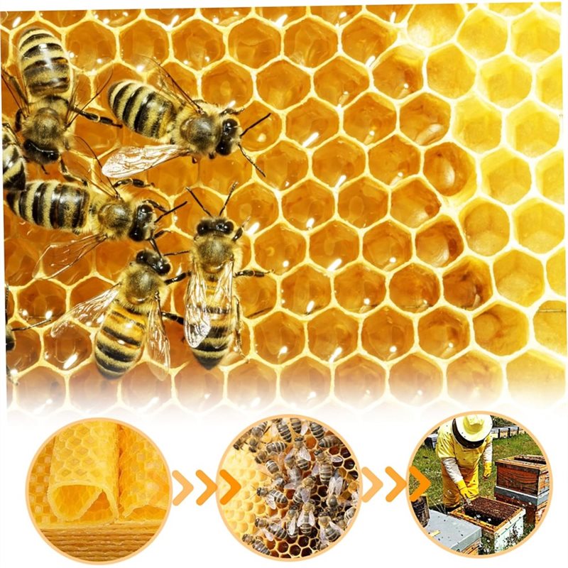 AT43-DIY Craft For Candle Maki - Candle Supplies Beeswax บทวิจารณ์และราคา
