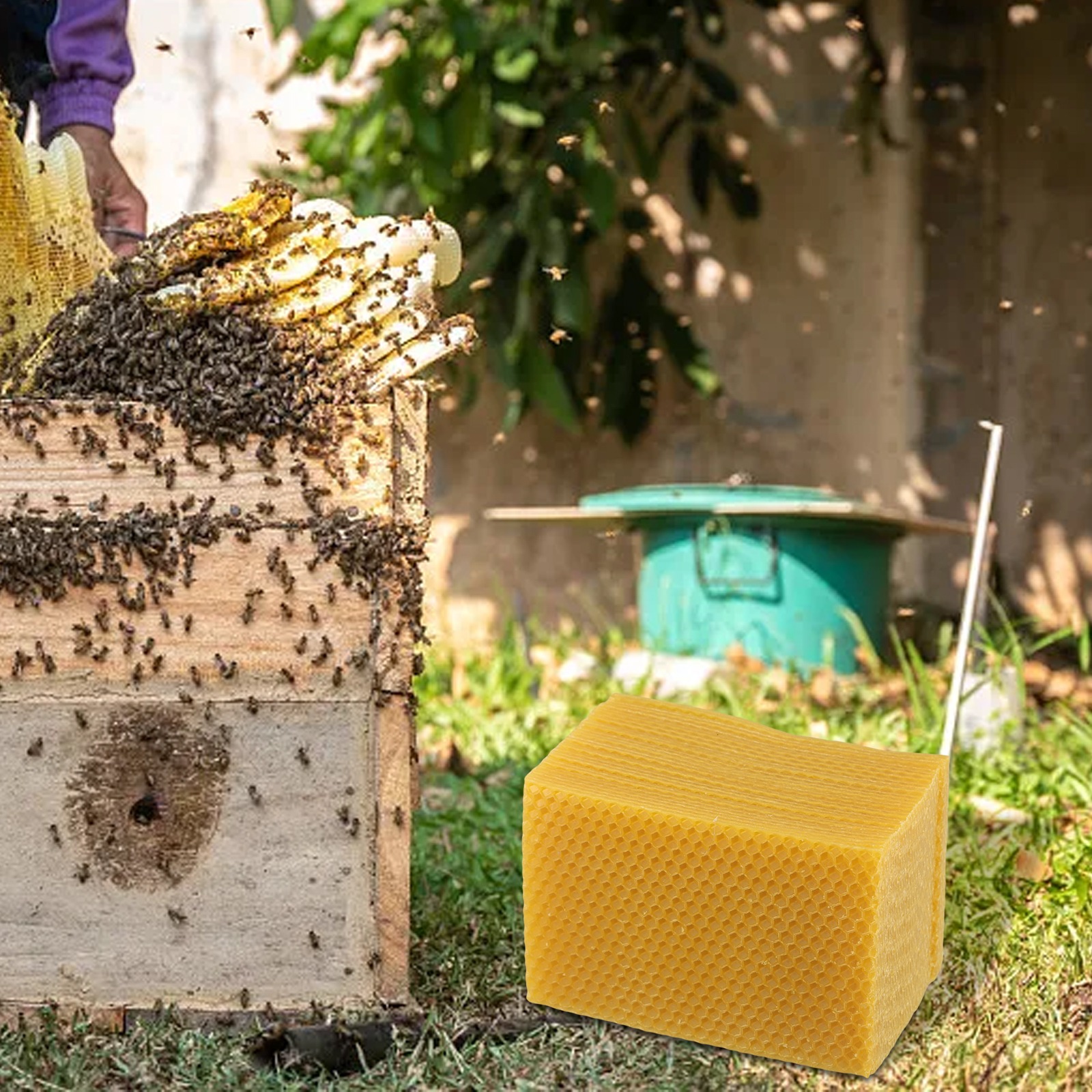 Beeswax Sheets for Beehive Fou - Candle Supplies Beeswax บทวิจารณ์และราคา